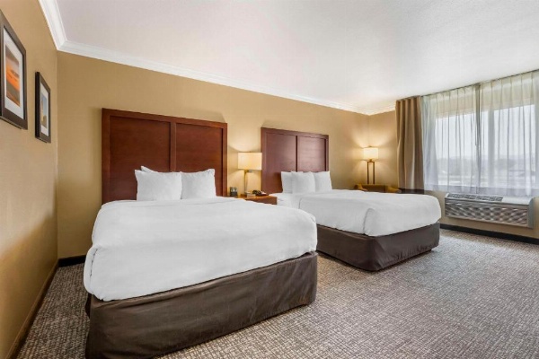 Comfort Inn & Suites Redwood Country image 10