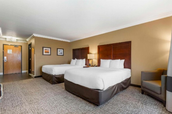 Comfort Inn & Suites Redwood Country image 11