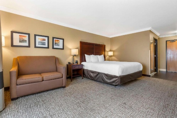 Comfort Inn & Suites Redwood Country image 14