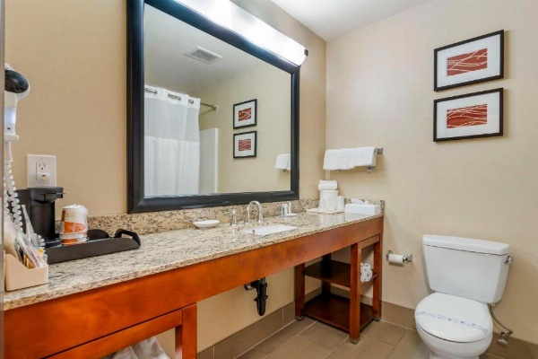 Comfort Inn & Suites Redwood Country image 16