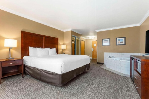 Comfort Inn & Suites Redwood Country image 18