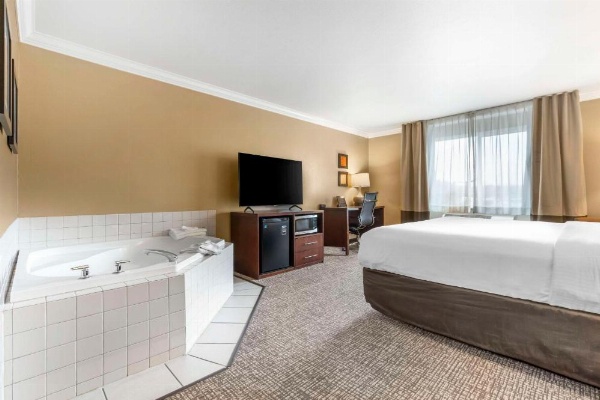 Comfort Inn & Suites Redwood Country image 19