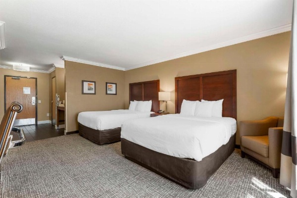 Comfort Inn & Suites Redwood Country image 23