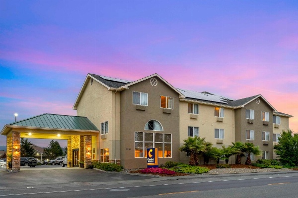 Comfort Inn & Suites Redwood Country image 3