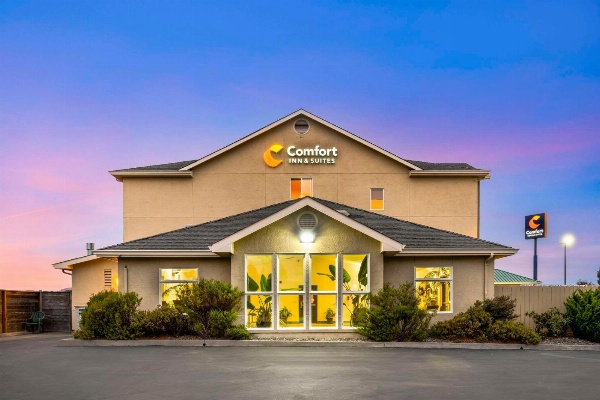 Comfort Inn & Suites Redwood Country image 5